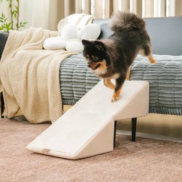 Multi-Functional Pet Access Ramp and Step Ladder