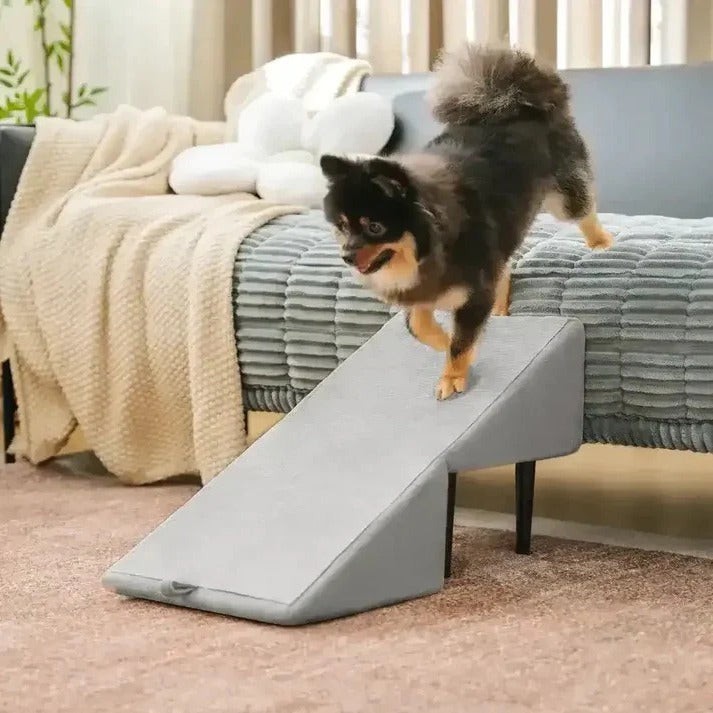 Multi-Functional Pet Access Ramp and Step Ladder