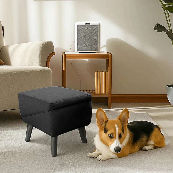 Multi-Functional Pet Access Ramp and Step Ladder