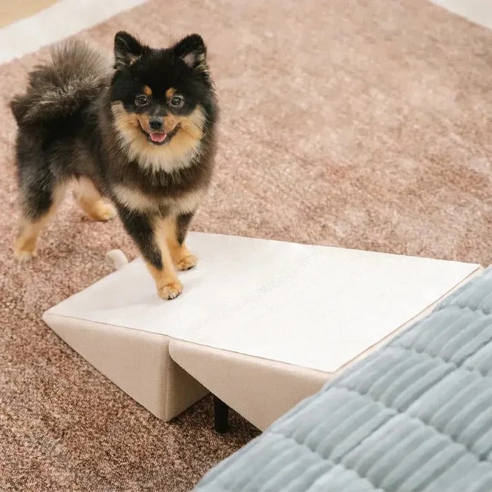 Multi-Functional Pet Access Ramp and Step Ladder