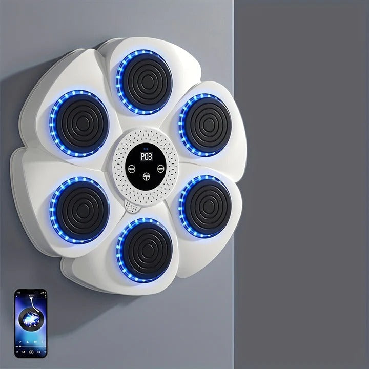 Wall-Mounted Music-Enhanced Boxing Practice Target