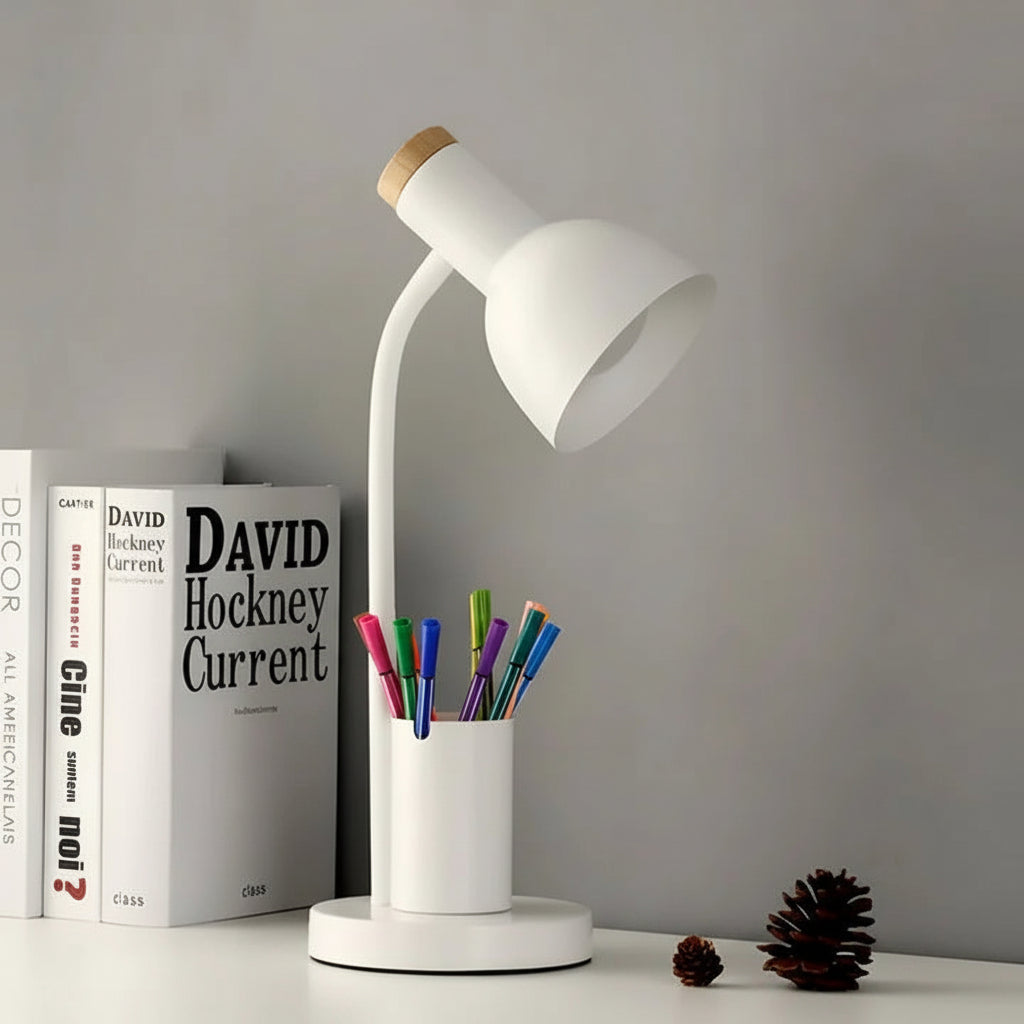 Illuminate Pro Adjustable Desk Lamp with Handy Storage