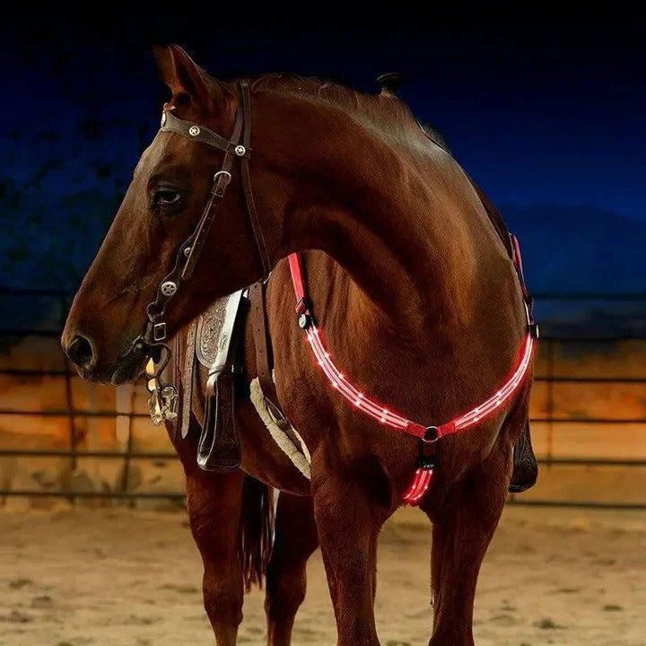 Illuminate Your Ride: Smart LED Horse Safety Collar