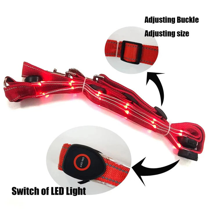Illuminate Your Ride: Smart LED Horse Safety Collar