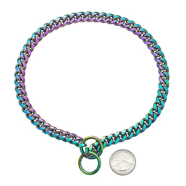Durable Stainless Steel Dog Training Collar with Custom Fit
