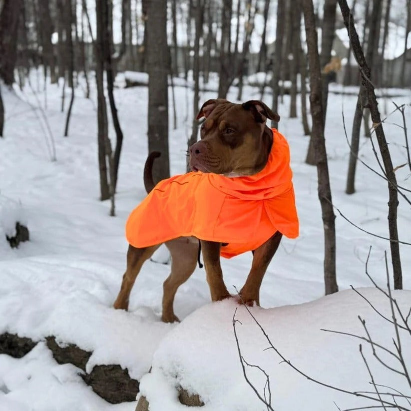 All-Weather Reflective Dog Raincoat for Ultimate Protection