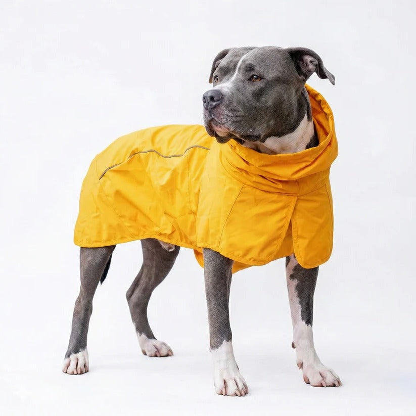 All-Weather Reflective Dog Raincoat for Ultimate Protection