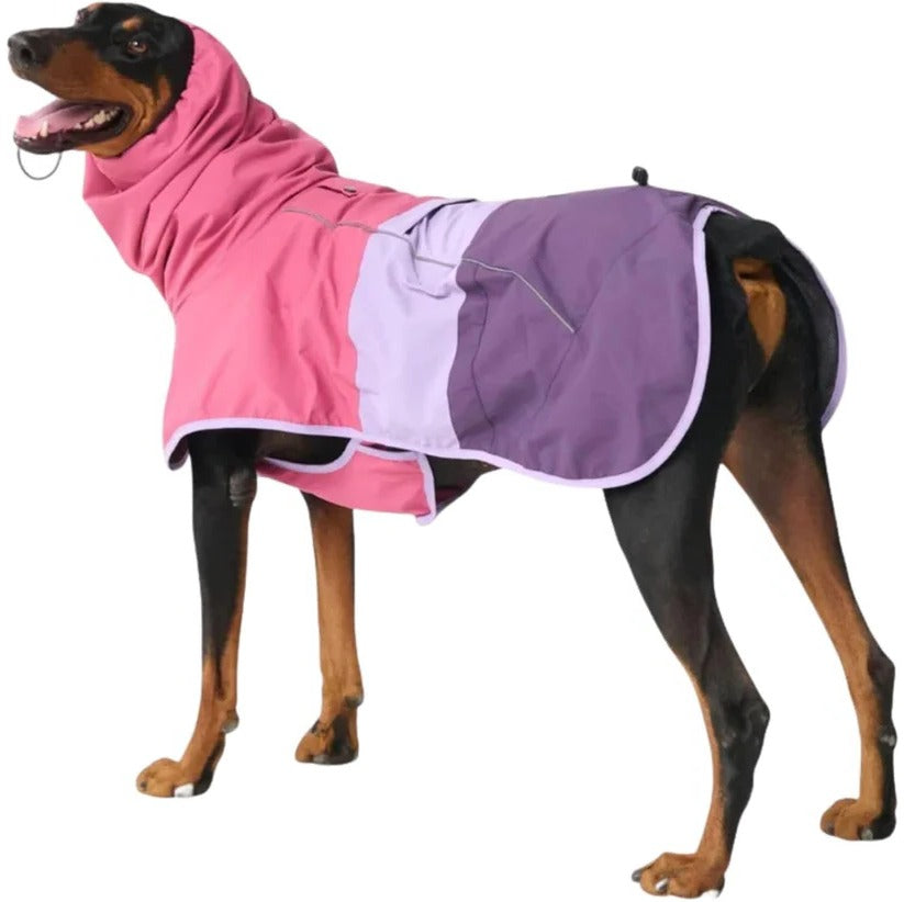All-Weather Reflective Dog Raincoat for Ultimate Protection