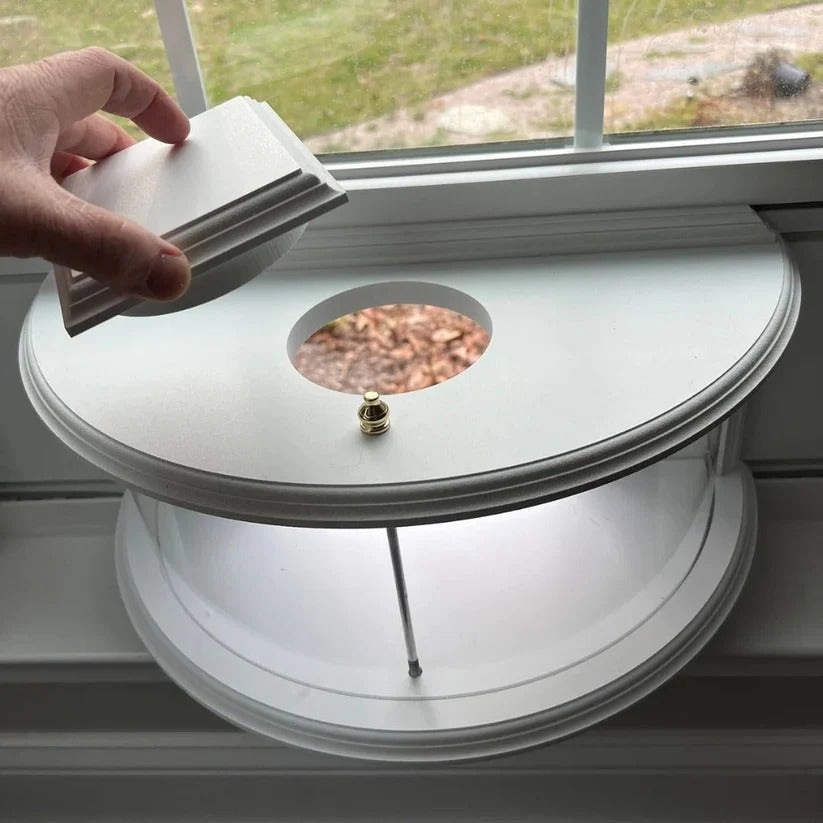 Transparent Window Bird Feeder with Easy Suction Cup Setup