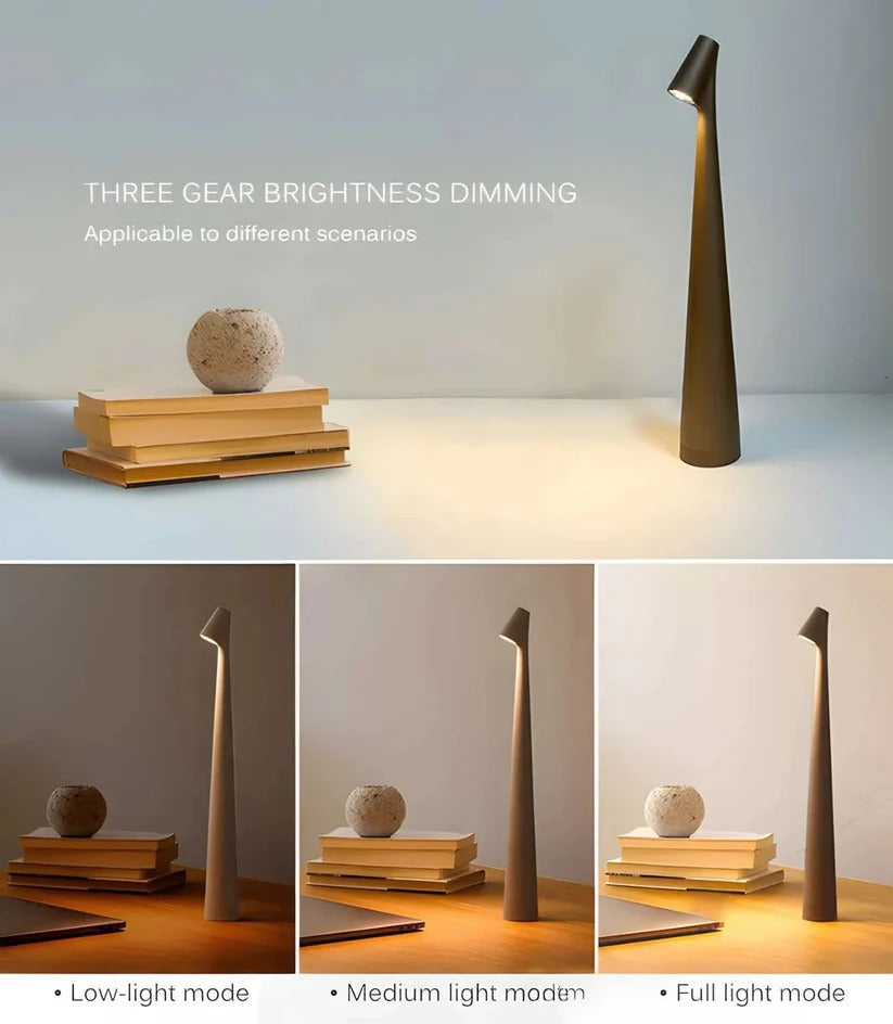 Versatile Rechargeable LED Desk Light with Adjustable Brightness