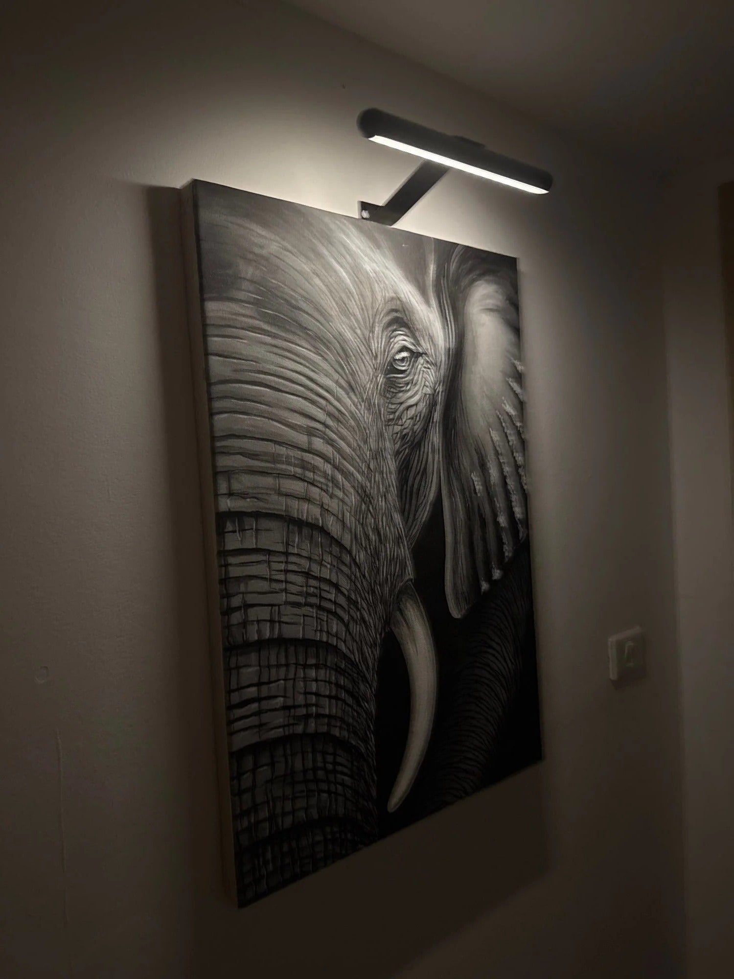 Battery-Powered LED Frame Lighting