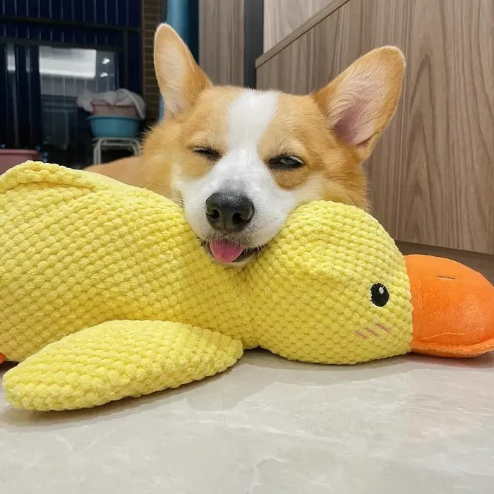 Soothe Your Pup with the Cozy Quack Companion