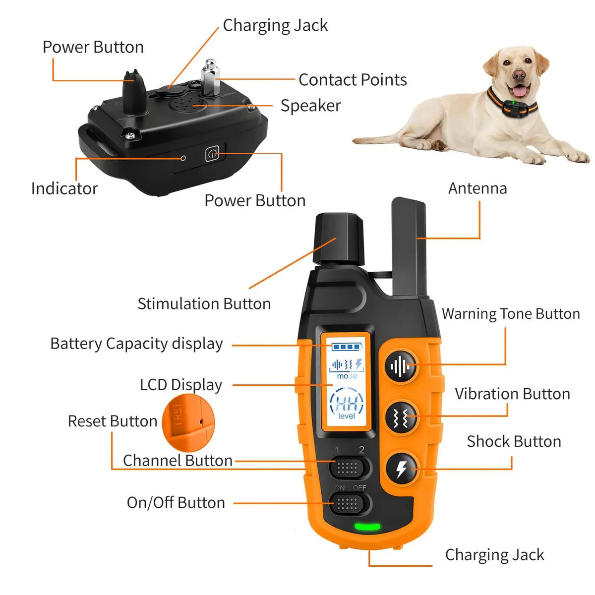 Electronic Collar for Remote Dog Training