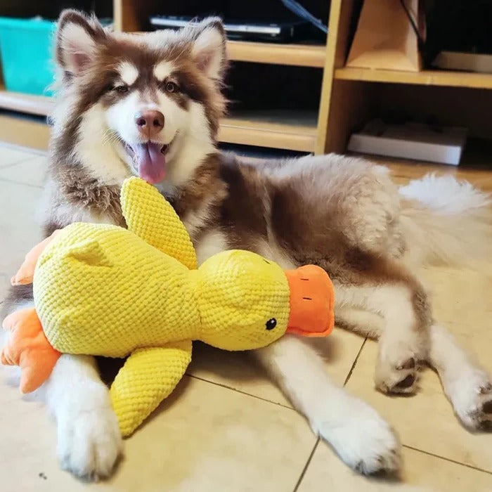 Soothe Your Pup with the Cozy Quack Companion