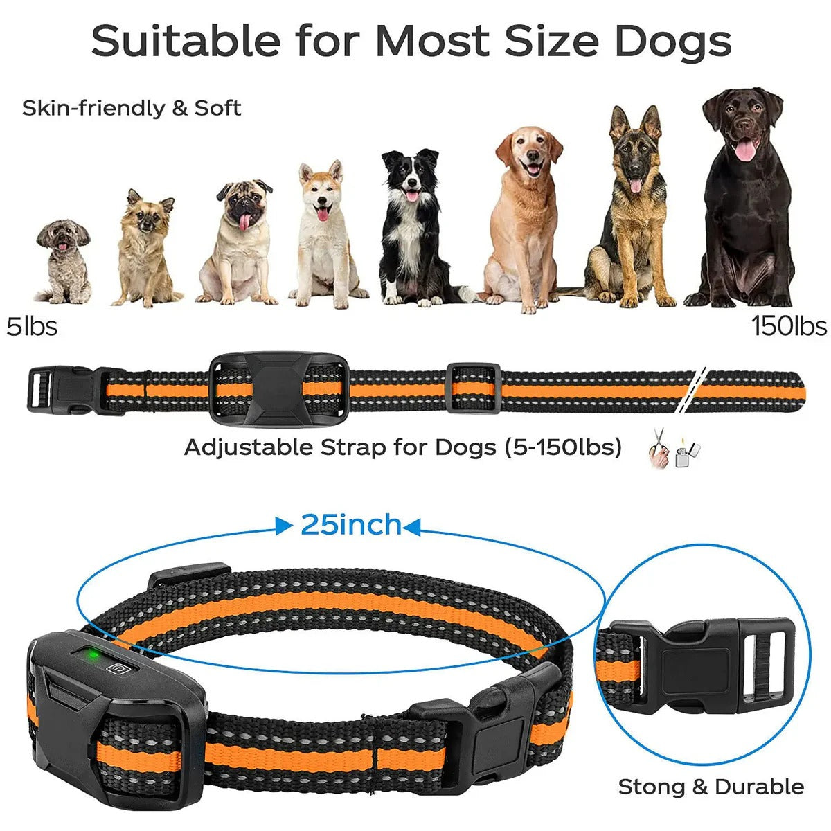 Electronic Collar for Remote Dog Training