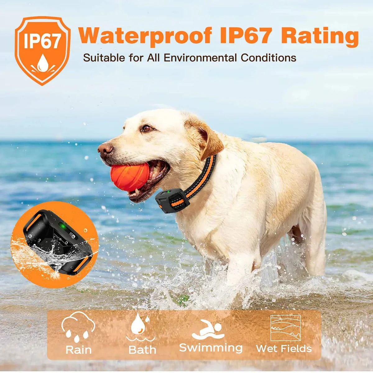 Electronic Collar for Remote Dog Training