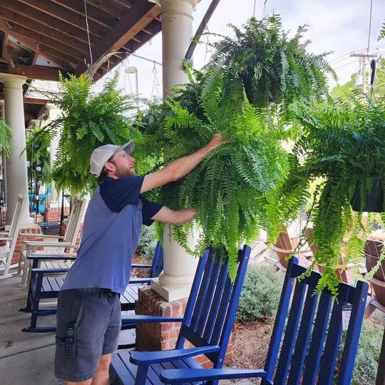 Vibrant Faux Fern for Stunning Outdoor Decor