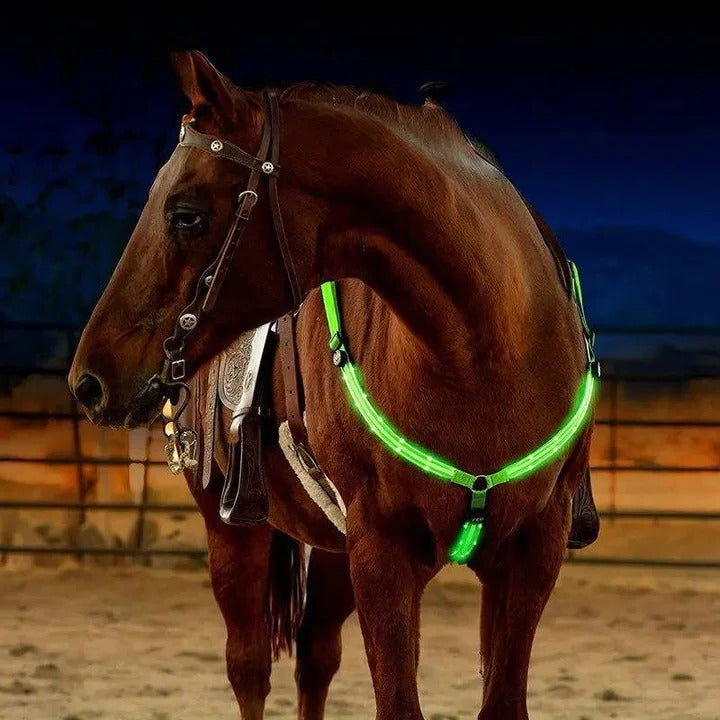Illuminate Your Ride: Smart LED Horse Safety Collar
