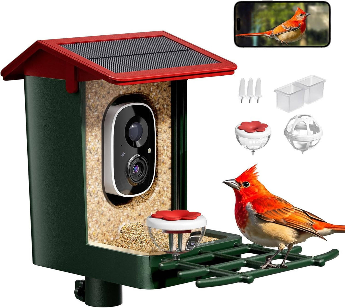 Smart Avian Viewer with Solar-Powered HD Camera