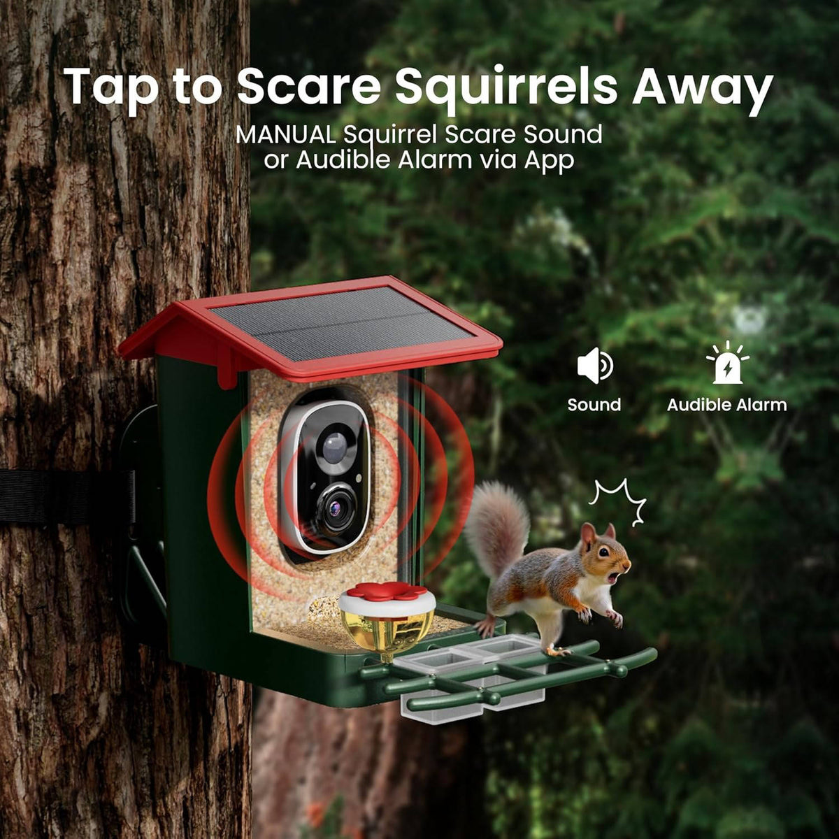 Smart Avian Viewer with Solar-Powered HD Camera
