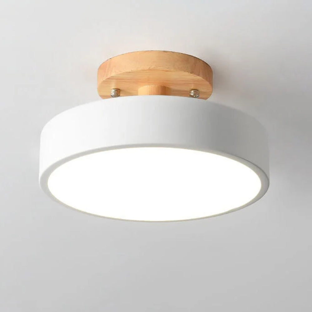 Luminara – Elegant LED Ceiling Light Fixture