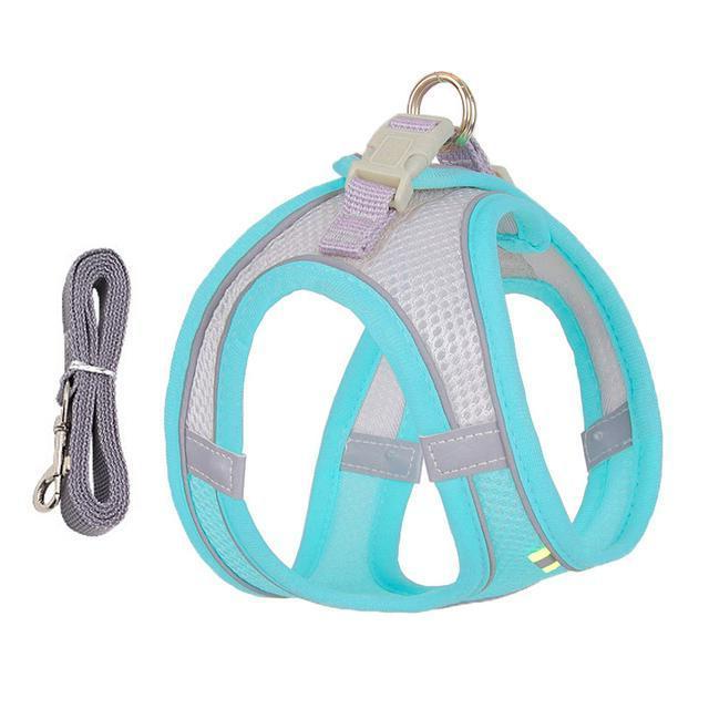 Harness and Leash Set for Small Dogs and Cats - Adjustable Fit