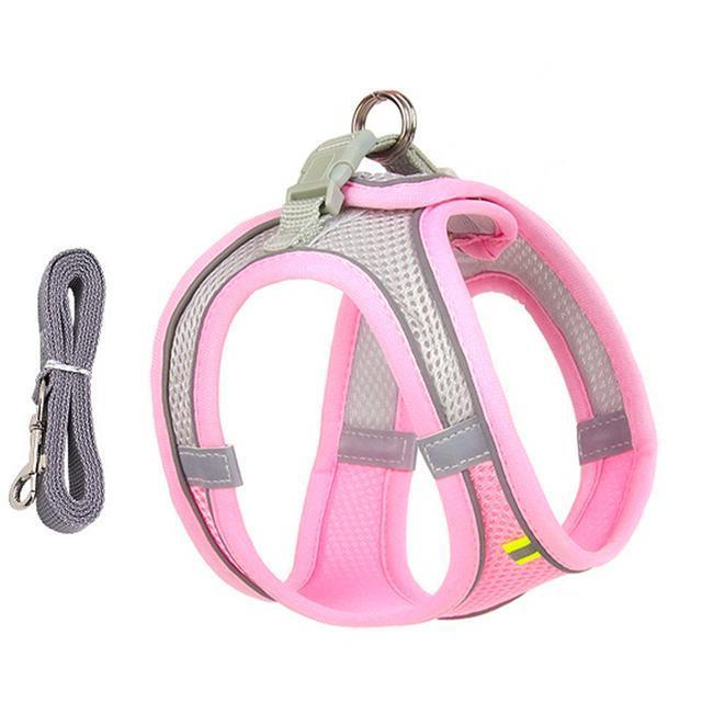 Harness and Leash Set for Small Dogs and Cats - Adjustable Fit