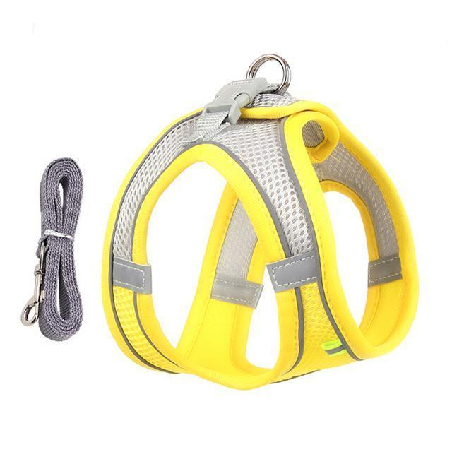Harness and Leash Set for Small Dogs and Cats - Adjustable Fit