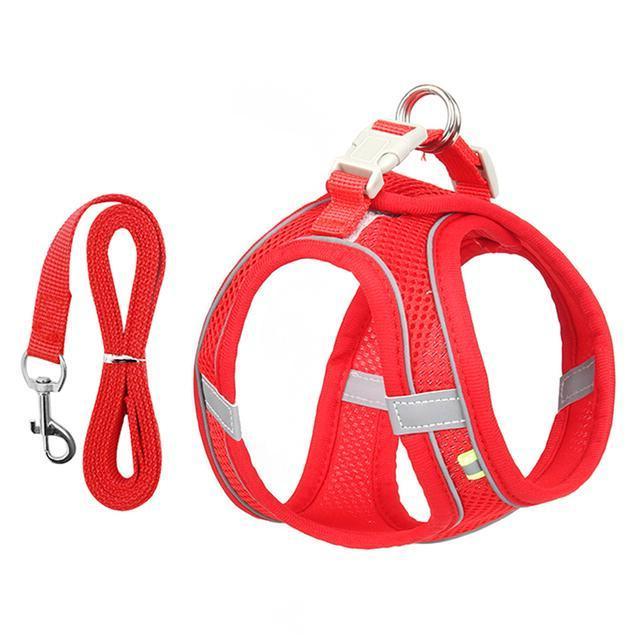 Harness and Leash Set for Small Dogs and Cats - Adjustable Fit