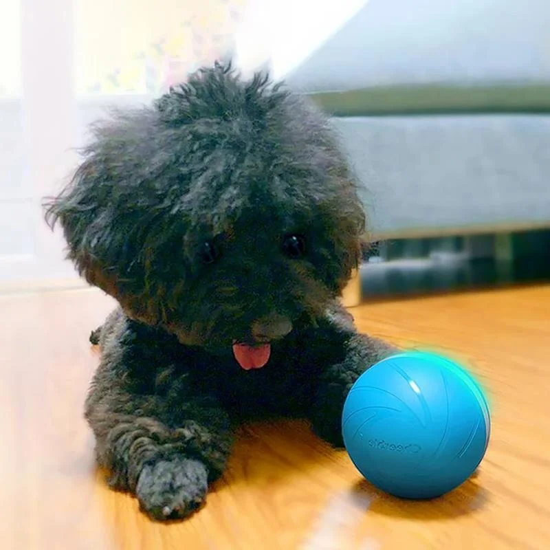 Interactive Pet Play Ball for Endless Fun