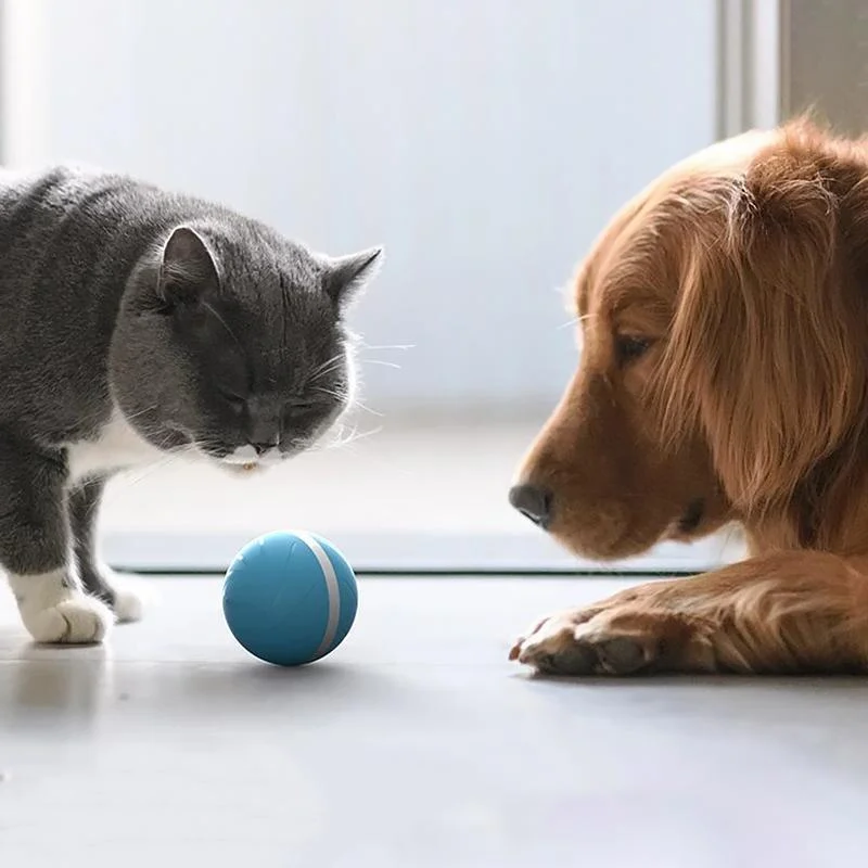 Interactive Pet Play Ball for Endless Fun