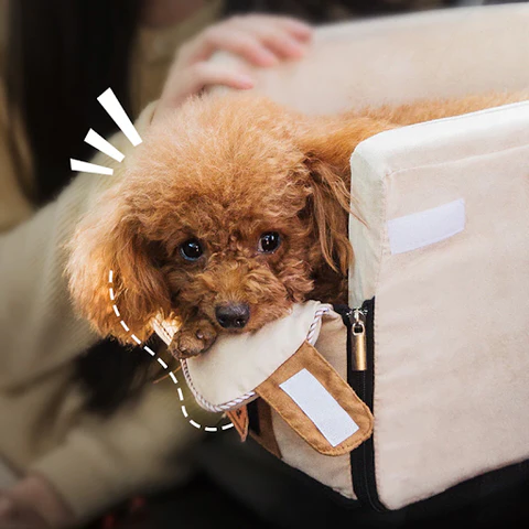 Travel Bag for Small Dogs and Cats - Pet Car Seat with Armrest Safety