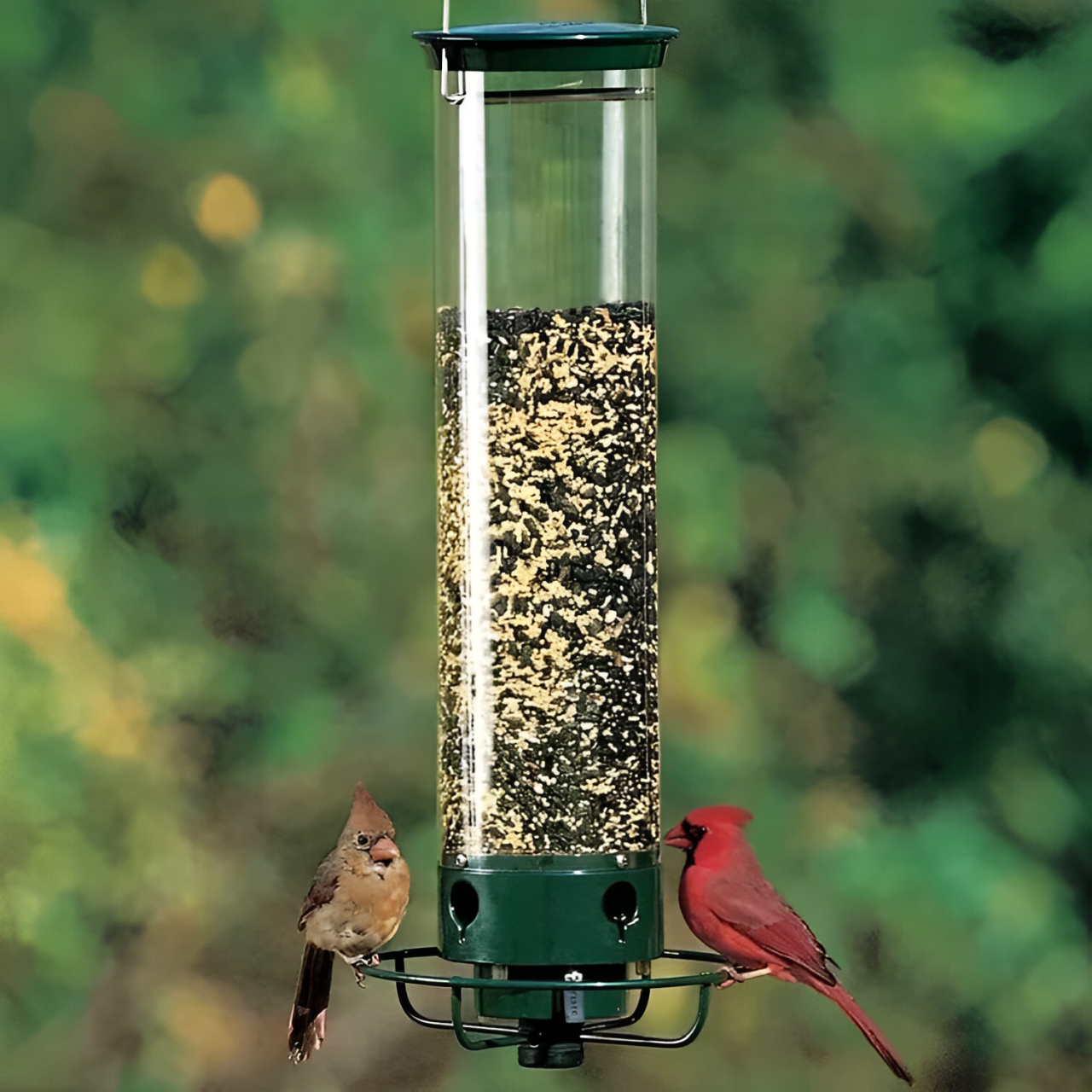 Bird Feeder Designed to Deter Squirrels