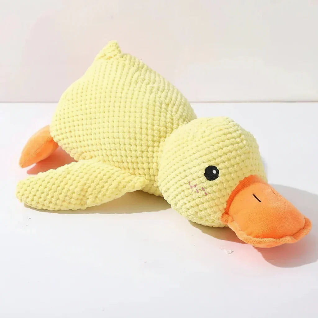 Engaging Quack Toy for Dogs – Perfect for Chewing and Playtime