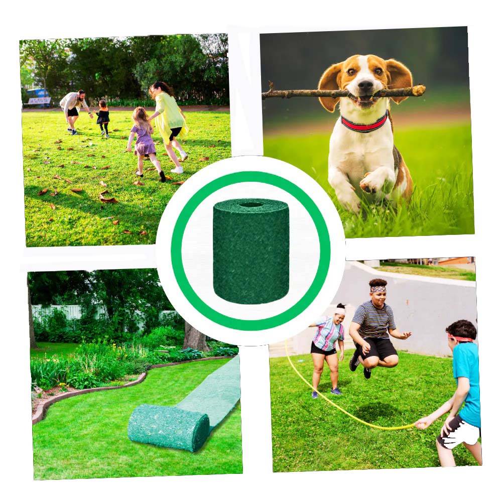 Instant Green Grass Seed Roll