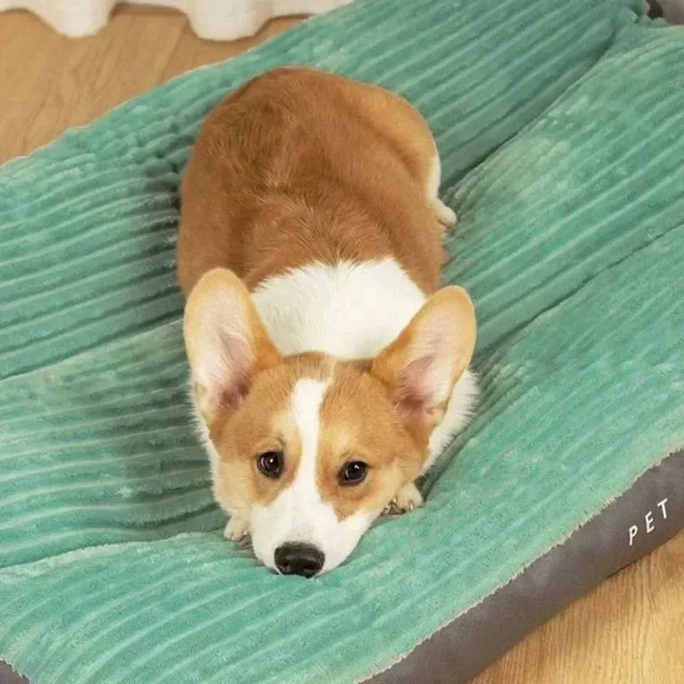 DreamHaven Supportive Dog Bed for Ultimate Comfort