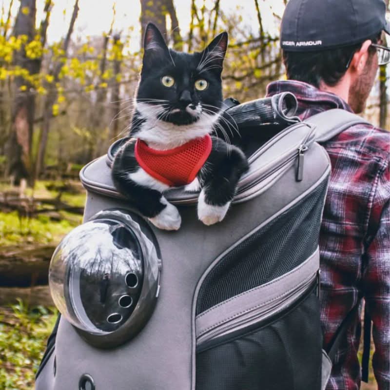 TravelMate Foldable Cat Carrier with Wide View Window