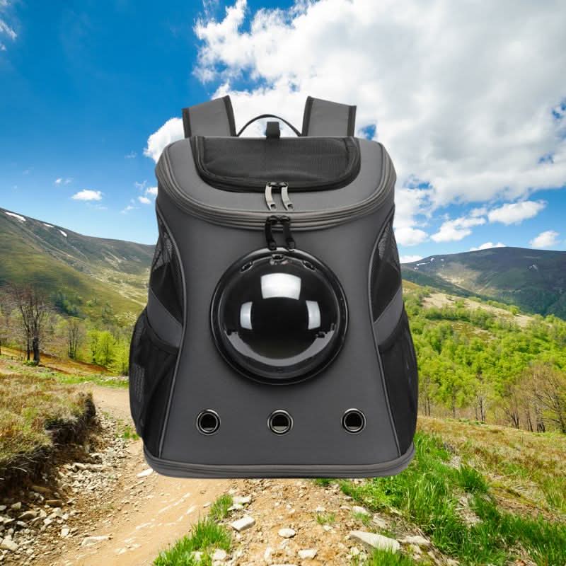 CatVoyage Portable Travel Carrier with Viewport and Comfort Features