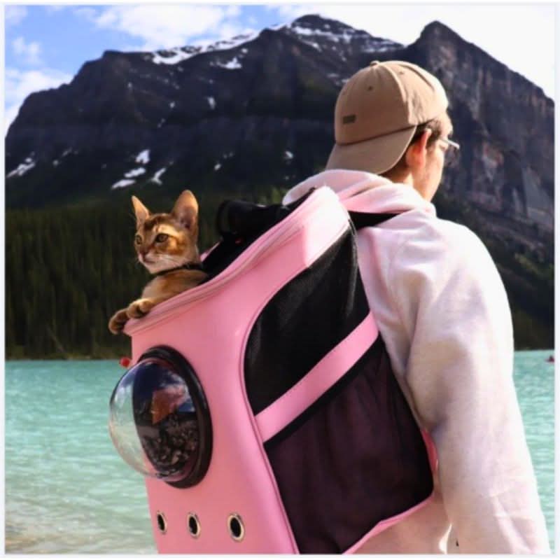CatVoyage Portable Travel Carrier with Viewport and Comfort Features