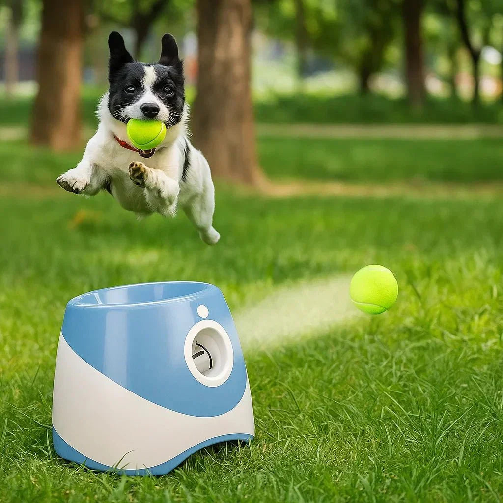 PawPower Automatic Fetch Machine - Rechargeable Dog Playmate