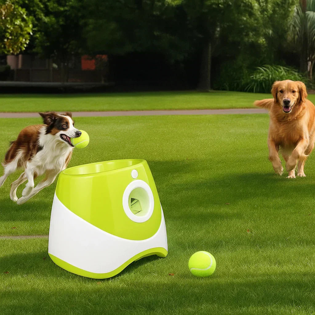 FetchMate Smart Ball Launcher for Dogs