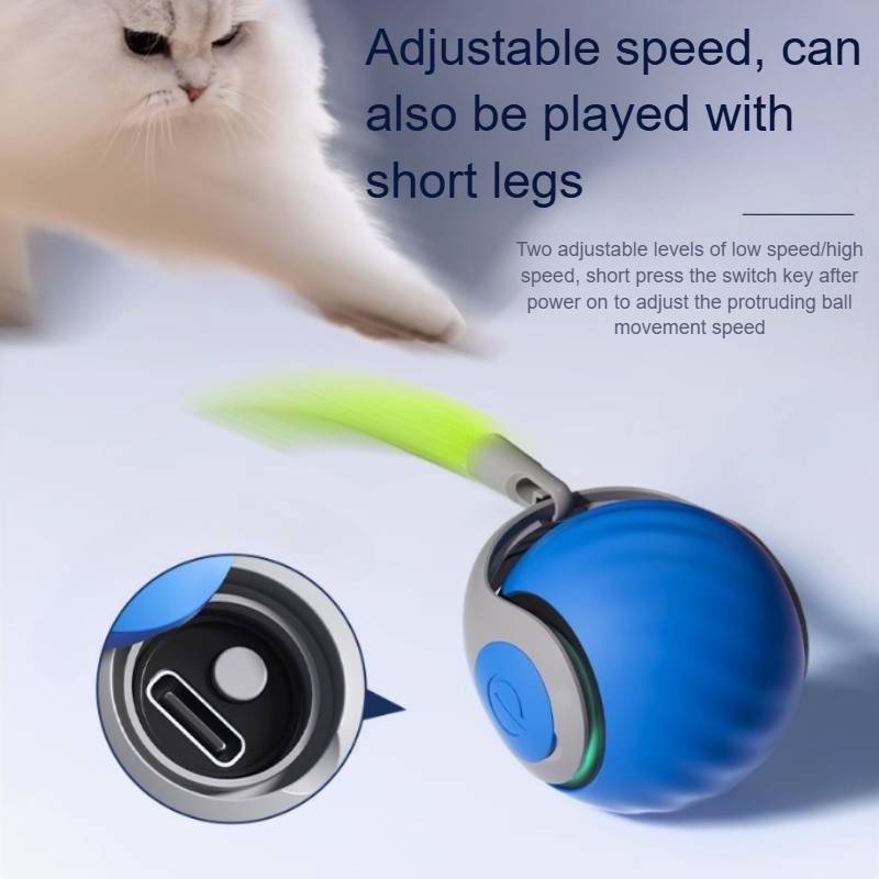 Smart Rolling Cat Toy for Indoor Playtime