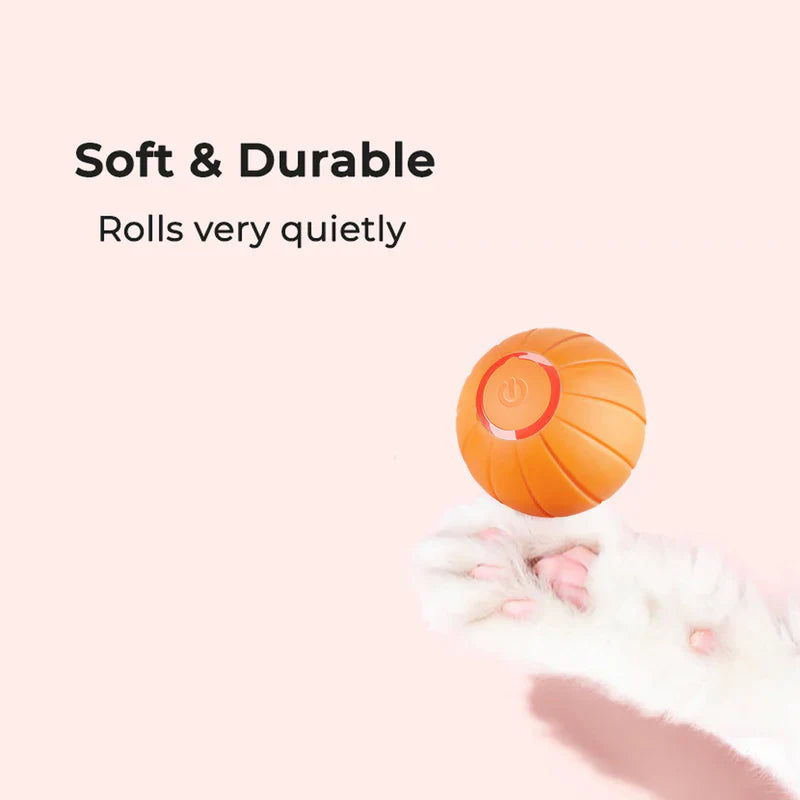 Special Edition Pet Toy Ball