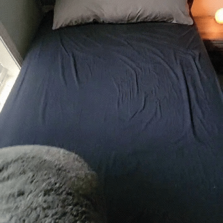 HydraShield Sleep Blanket: Ultimate Protection for Peaceful Nights