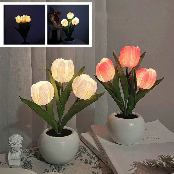 Ceramic Pot Table Lamp with LED – Cozy Accent Lighting