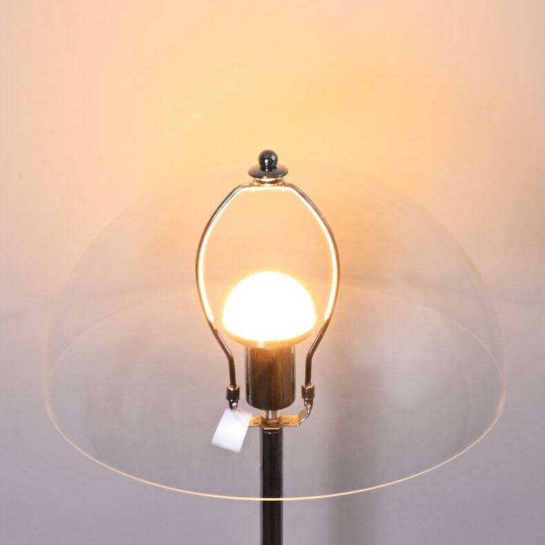 Taavita Vintage Acrylic LED Floor Lamp with Clear Lampshade and Dimmable Light