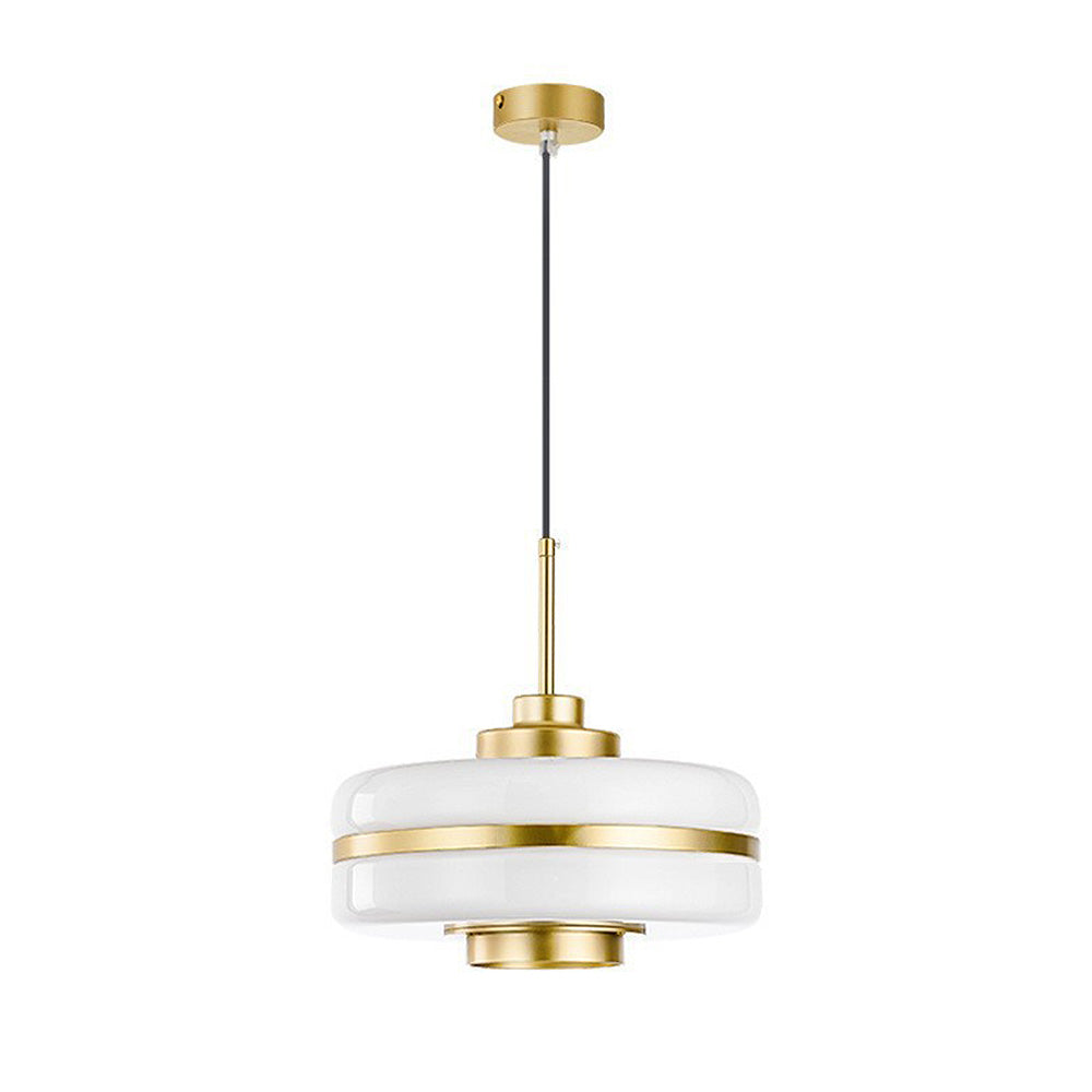 Elegant Glass and Metal Pendant Light with Warm LED Embrace