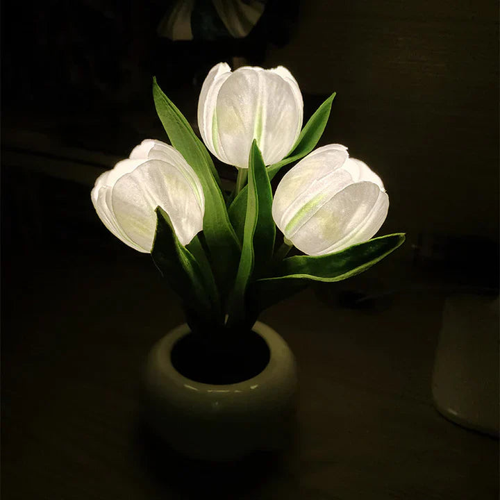 Ceramic Pot Table Lamp with LED – Cozy Accent Lighting