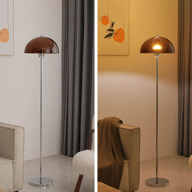 Taavita Vintage Acrylic LED Floor Lamp with Clear Lampshade and Dimmable Light