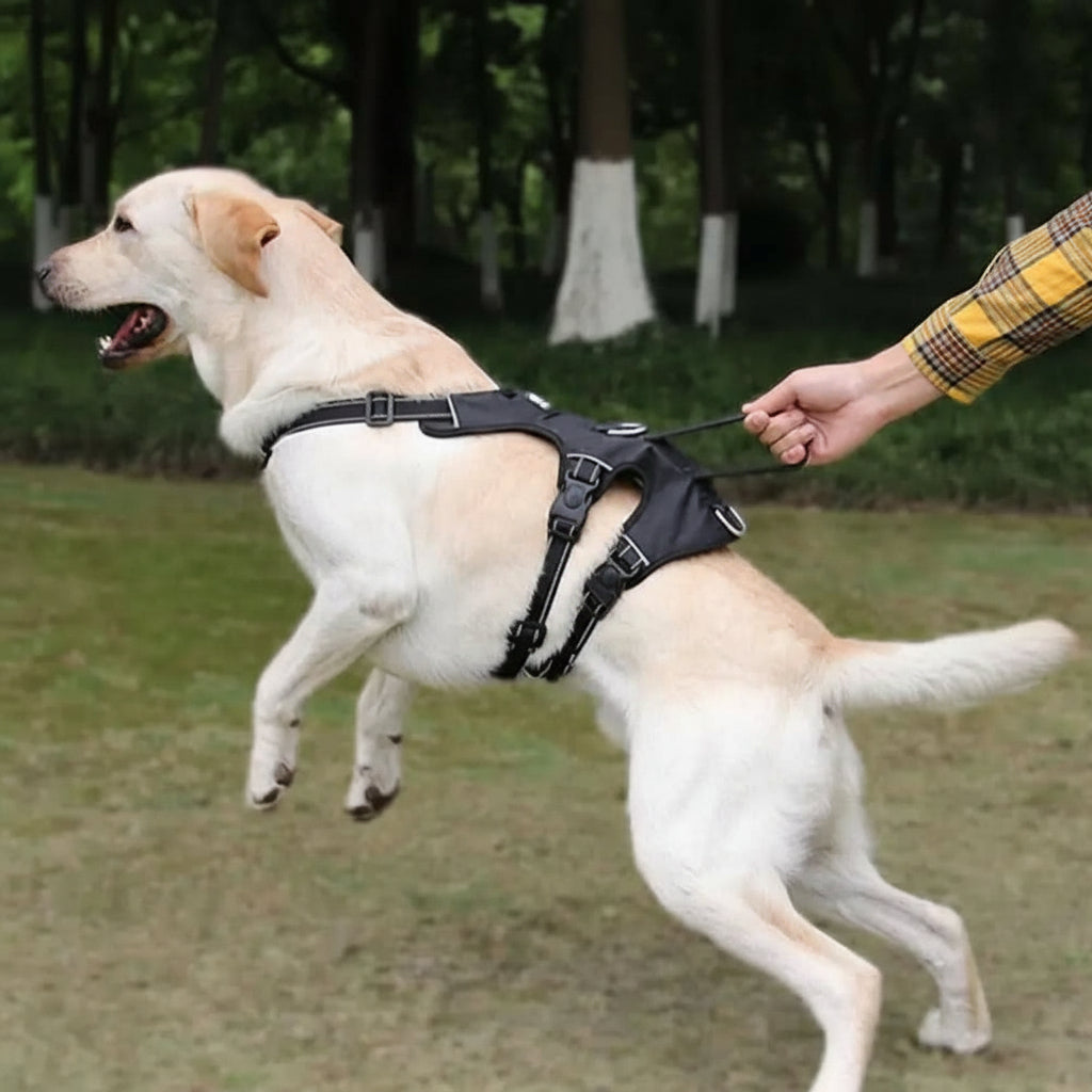 SafeStride Reflective Dog Harness for Secure and Easy Walks
